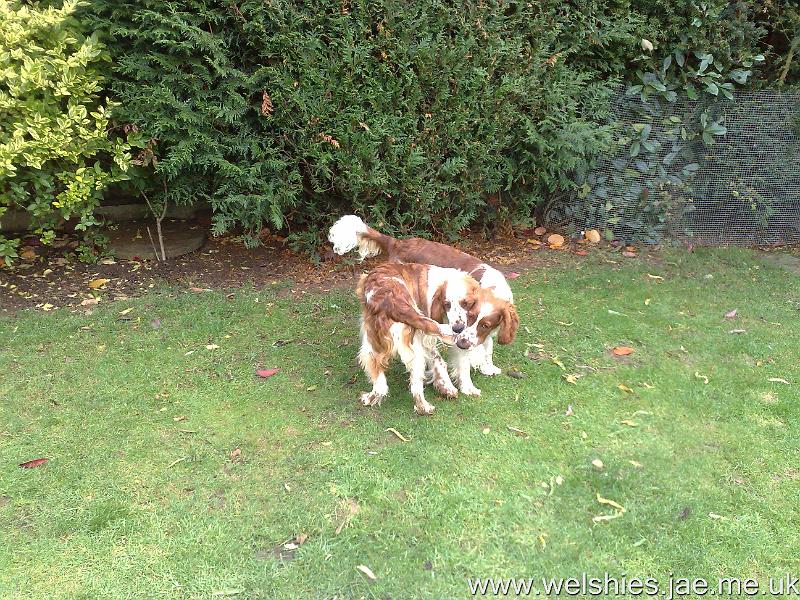 2009-11-16 10.jpg - Hal likes his new toy!